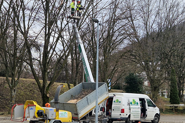Sturmschaden beseitigung